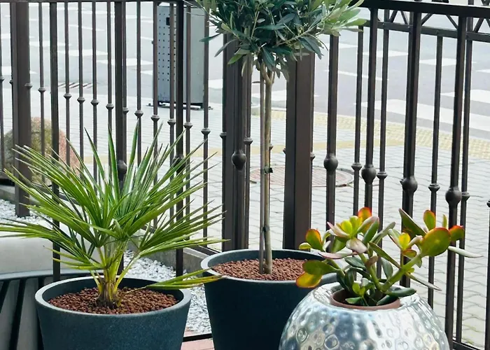 Гостевой дом Astos In Паланга